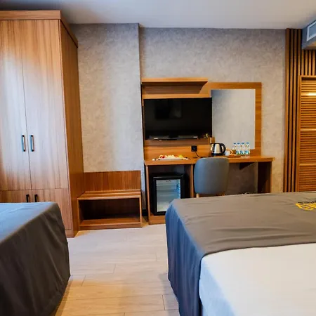 Educity & Provincia di Istanbul